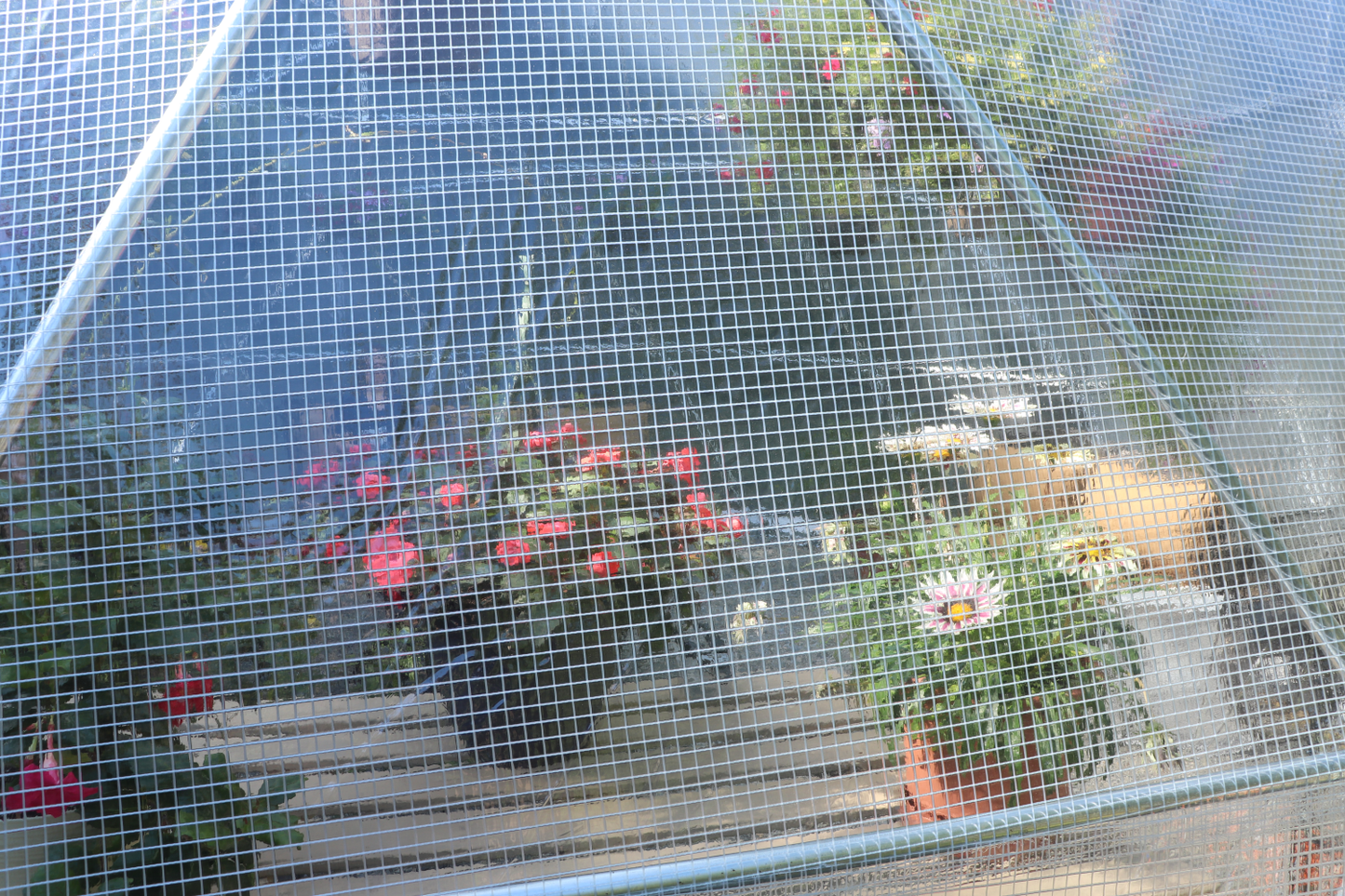 Outside view of a 20 ft greenhouse dome providing a closeup view of the reinforced clear vinyl fabric and plants on built-in shelving inside.