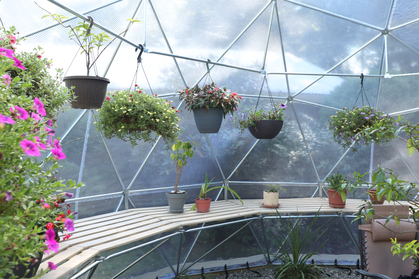 Inside photo of a 20 ft greenhouse dome with a reinforced clear vinyl cover providing a view of the half dome built-in shelving and hanging baskets.