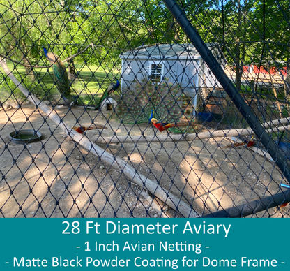 Two peacocks and four golden pheasants can be seen inside a spacious 28 Ft diameter aviary.