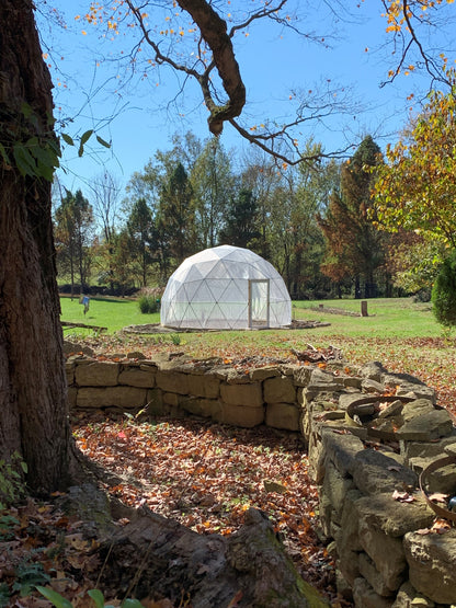 Screen Domes