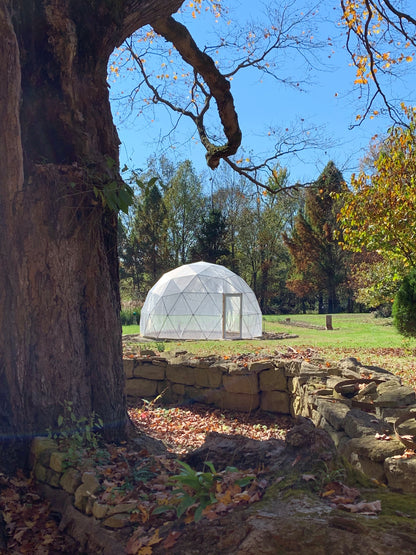 Screen Domes