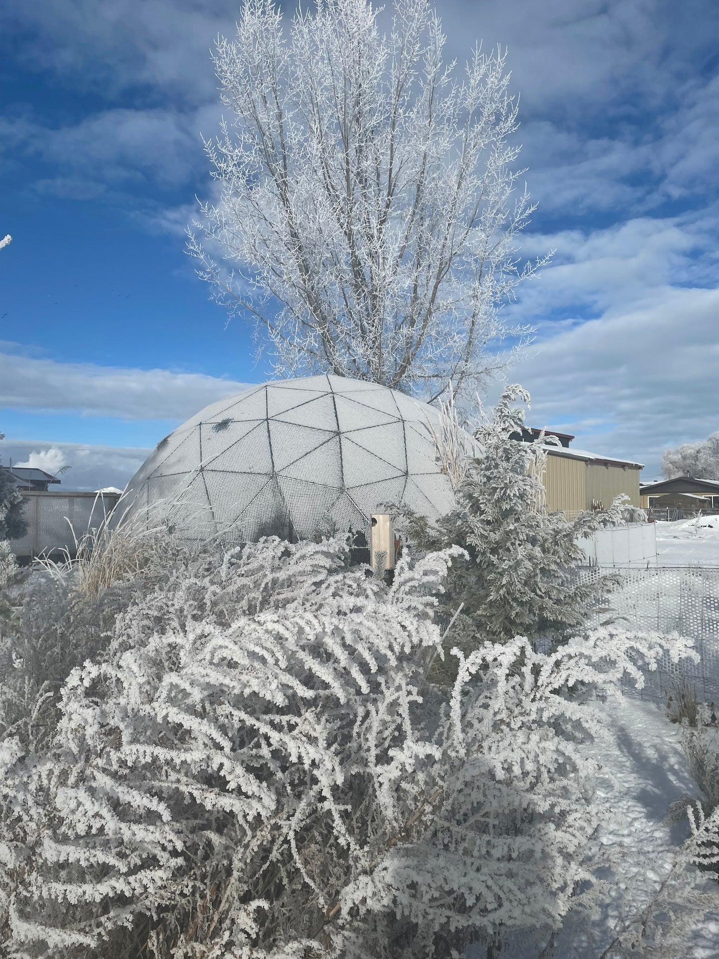 Intriguingly delicate hoar frost covers a 28 Ft dome and nearby vegetation.  We can only hope the birds in this aviary appreciate the splendor of their elegant home!